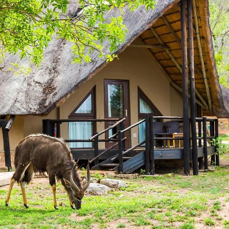 Luphisi Aha Bongani Mountain Lodge מראה חיצוני תמונה