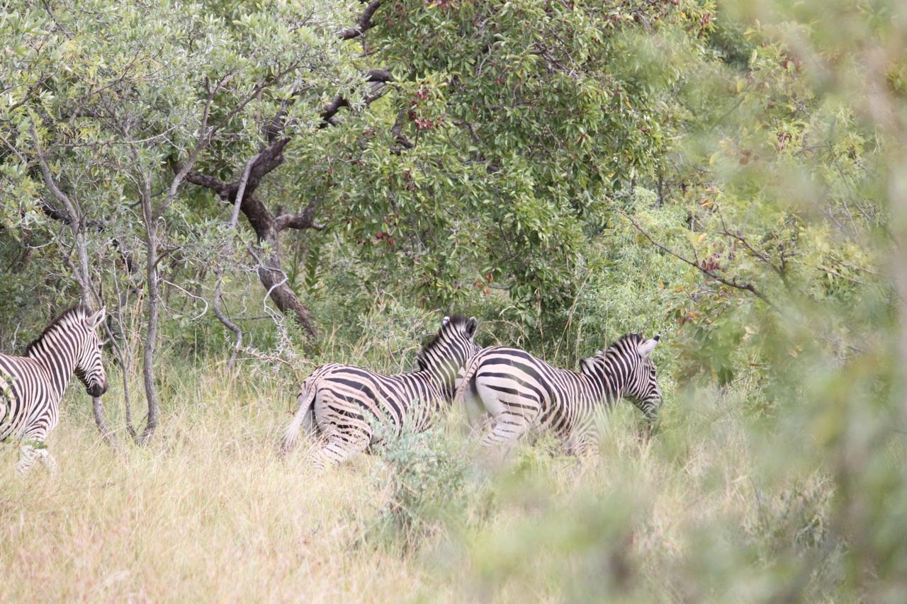 Luphisi Aha Bongani Mountain Lodge מראה חיצוני תמונה