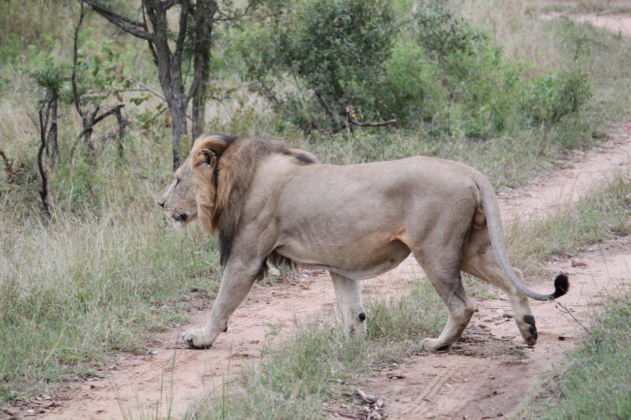 Luphisi Aha Bongani Mountain Lodge מראה חיצוני תמונה