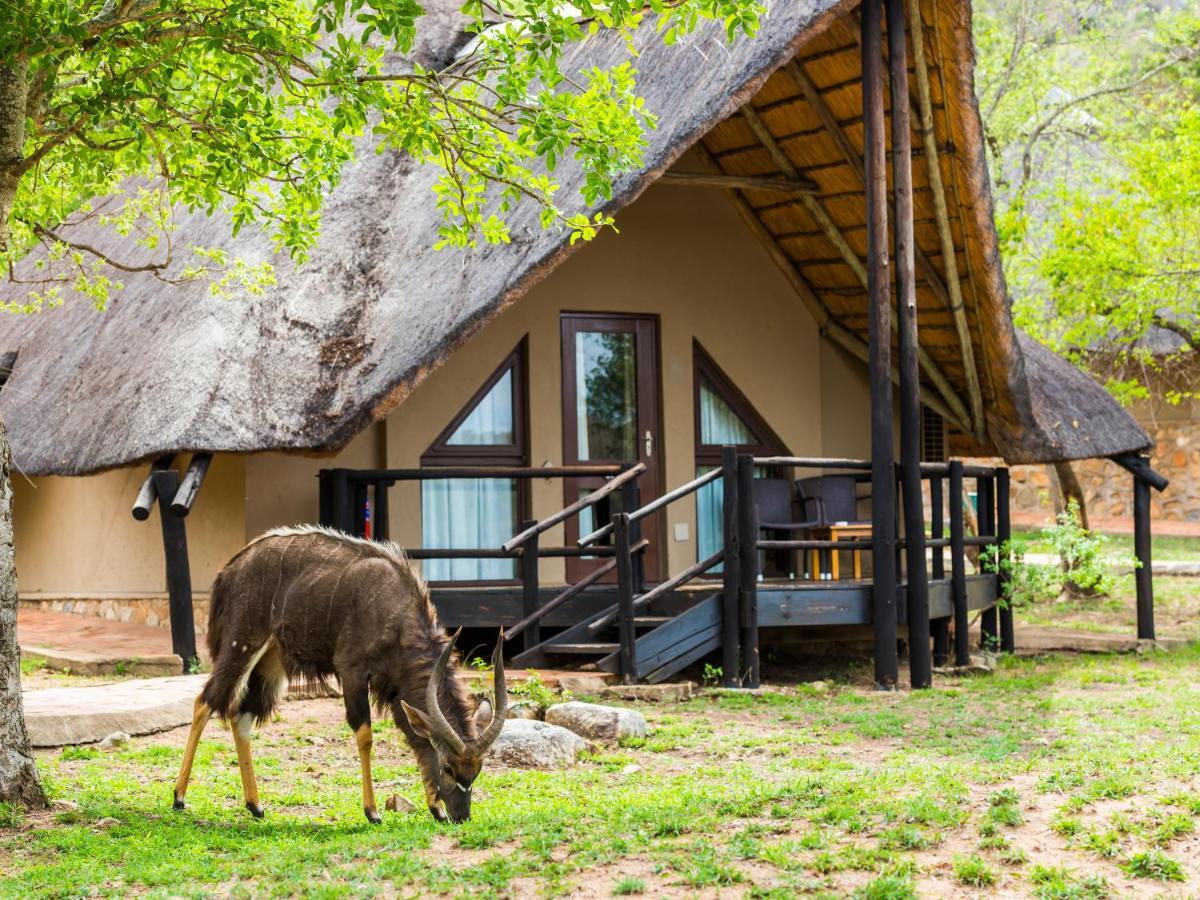 Luphisi Aha Bongani Mountain Lodge מראה חיצוני תמונה
